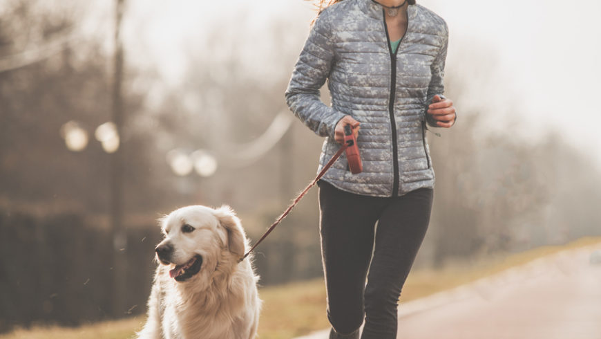 Faire du sport avec ses animaux de compagnie