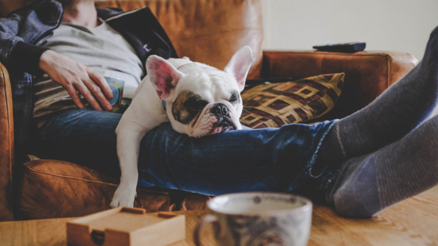 Des choses à éviter le soir pour assurer une bonne qualité de sommeil